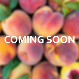 Peaches