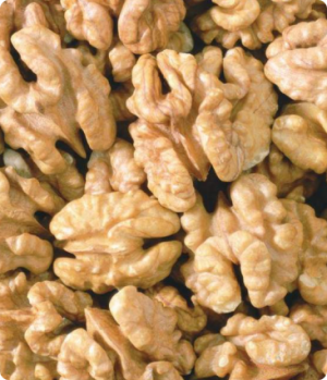 Walnut